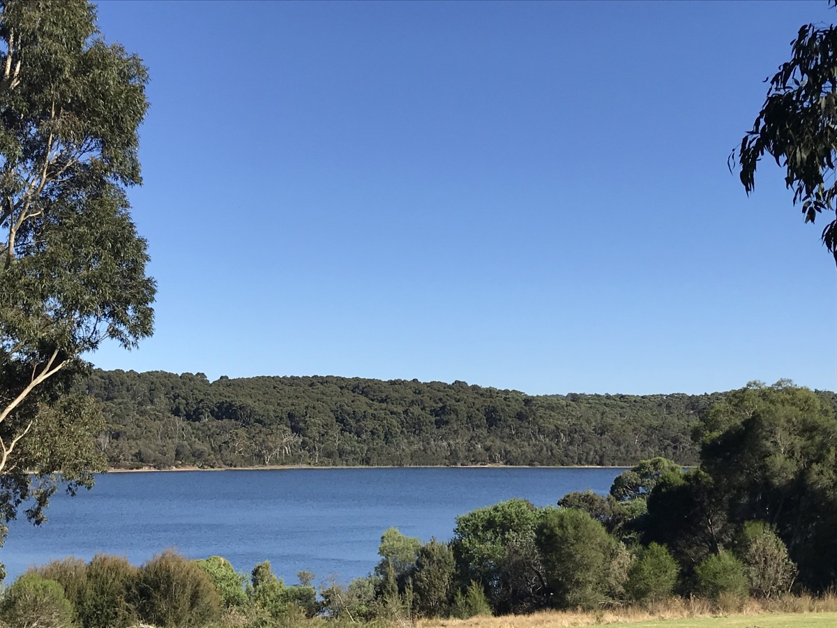 Lysterfield Lake Park Lysterfield - Eco Explorers