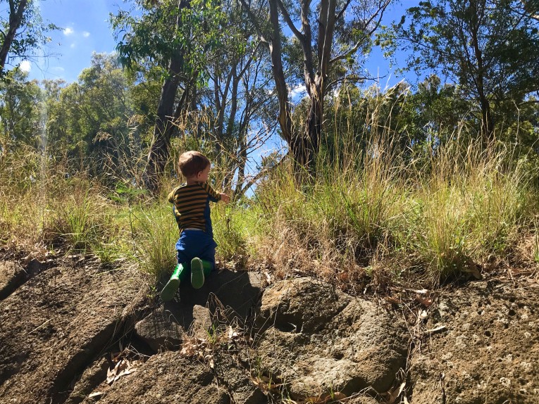 Brimbank Park, Keilor East - Eco Explorers