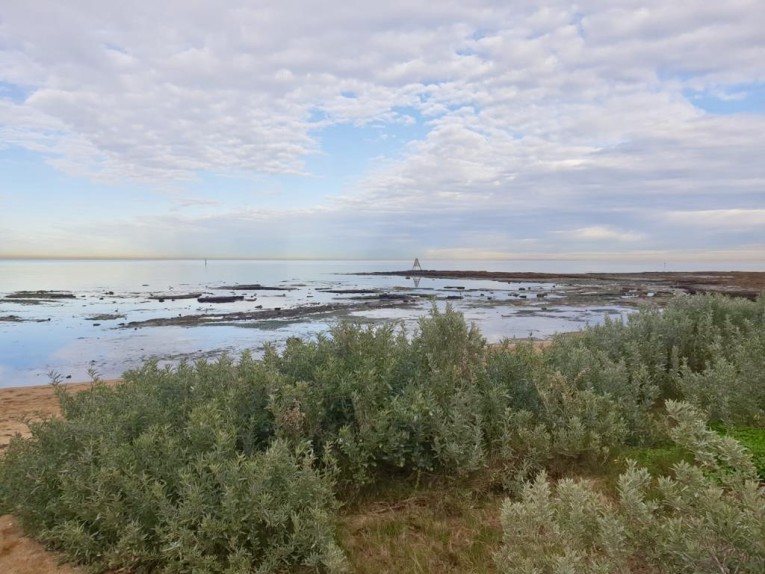 Ricketts Point Marine Sanctuary, Beaumaris - Eco Explorers