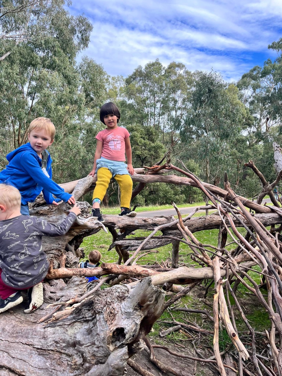 Tawny Toddlers Warrandyte – Tuesdays