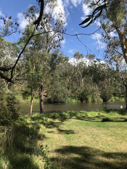 Yarra Bend Park, Kew - Eco Explorers