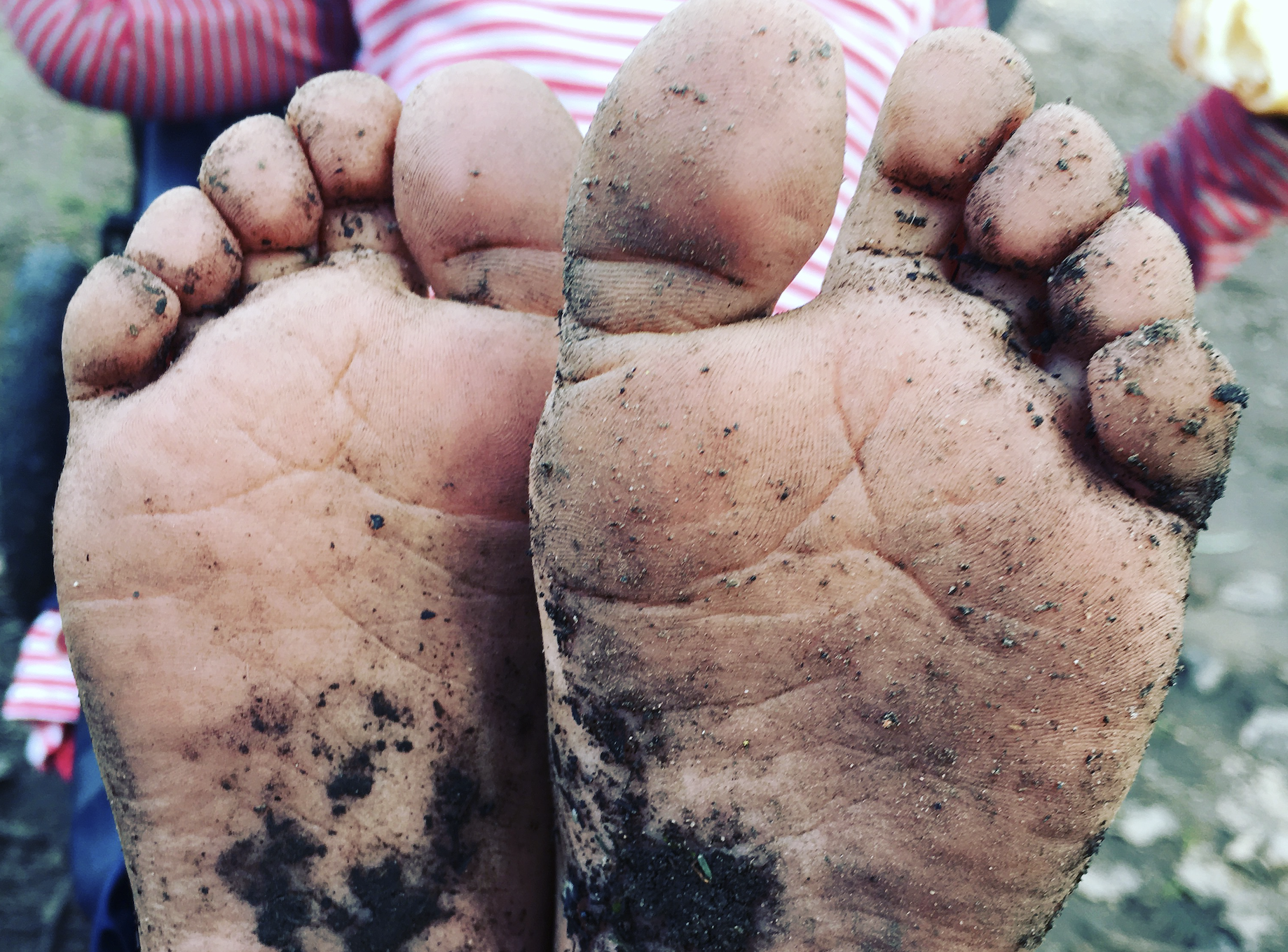 Walking Barefoot on the Earth, Blog