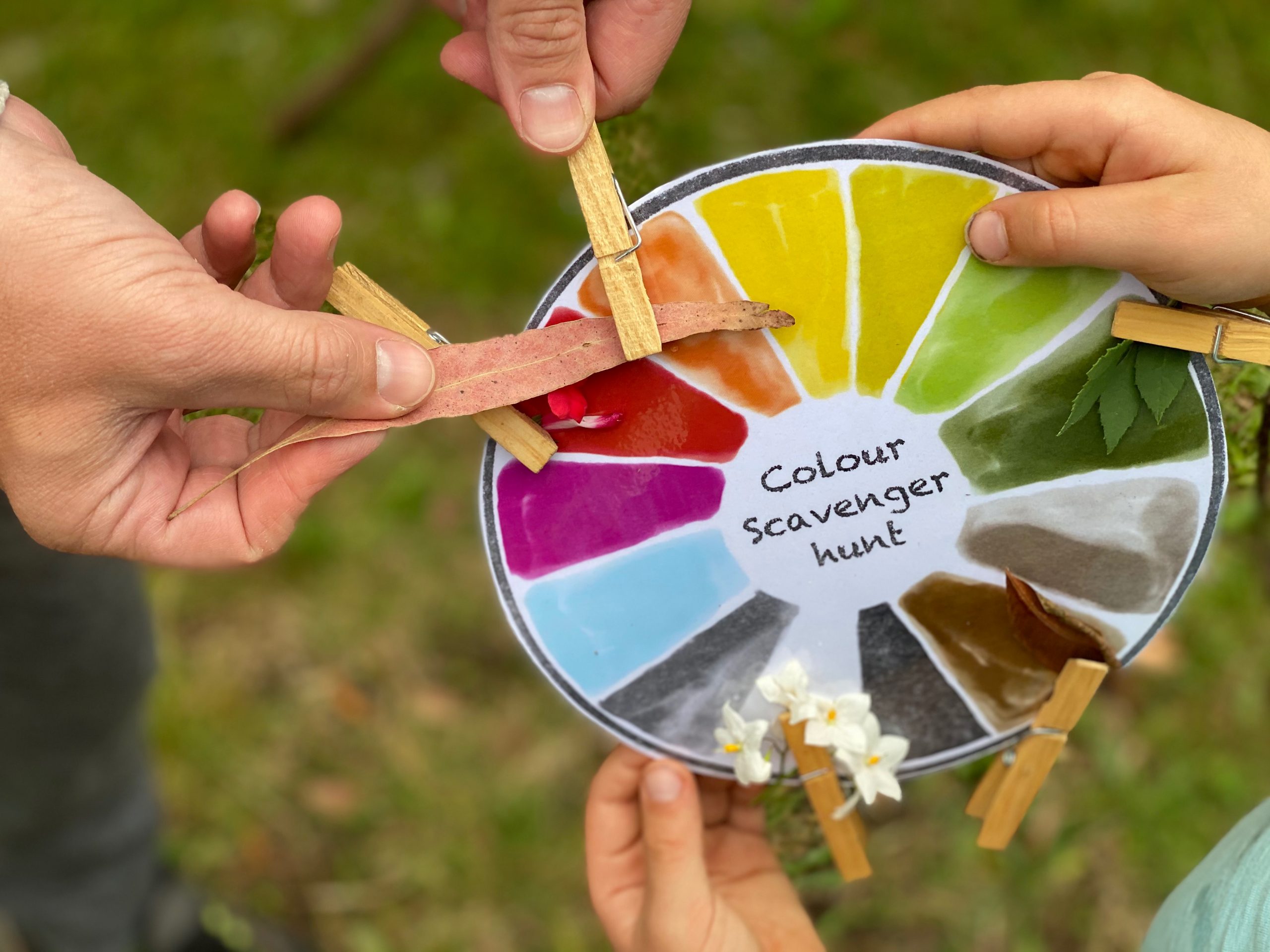 FREE Colour Wheel Scavenger Hunt Eco Explorers