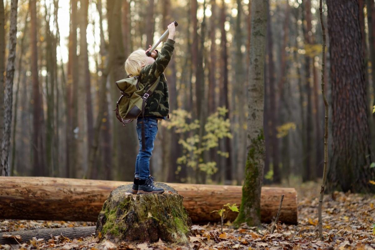 Little Wild Warriors Learning Program For Families