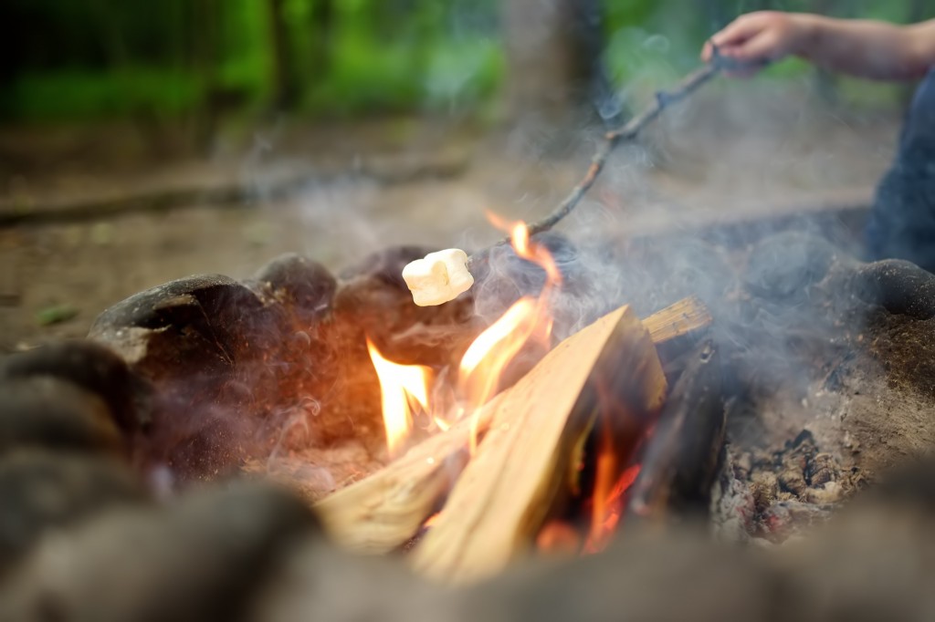 Dandenong Ranges Forest School - Campfire & Marshmallows! - Eco Explorers