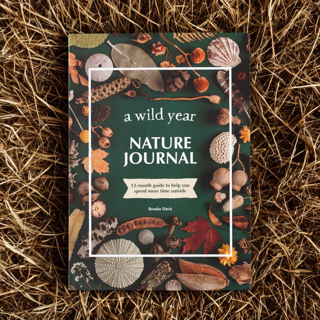 A Wild Year ~ Nature Journal
