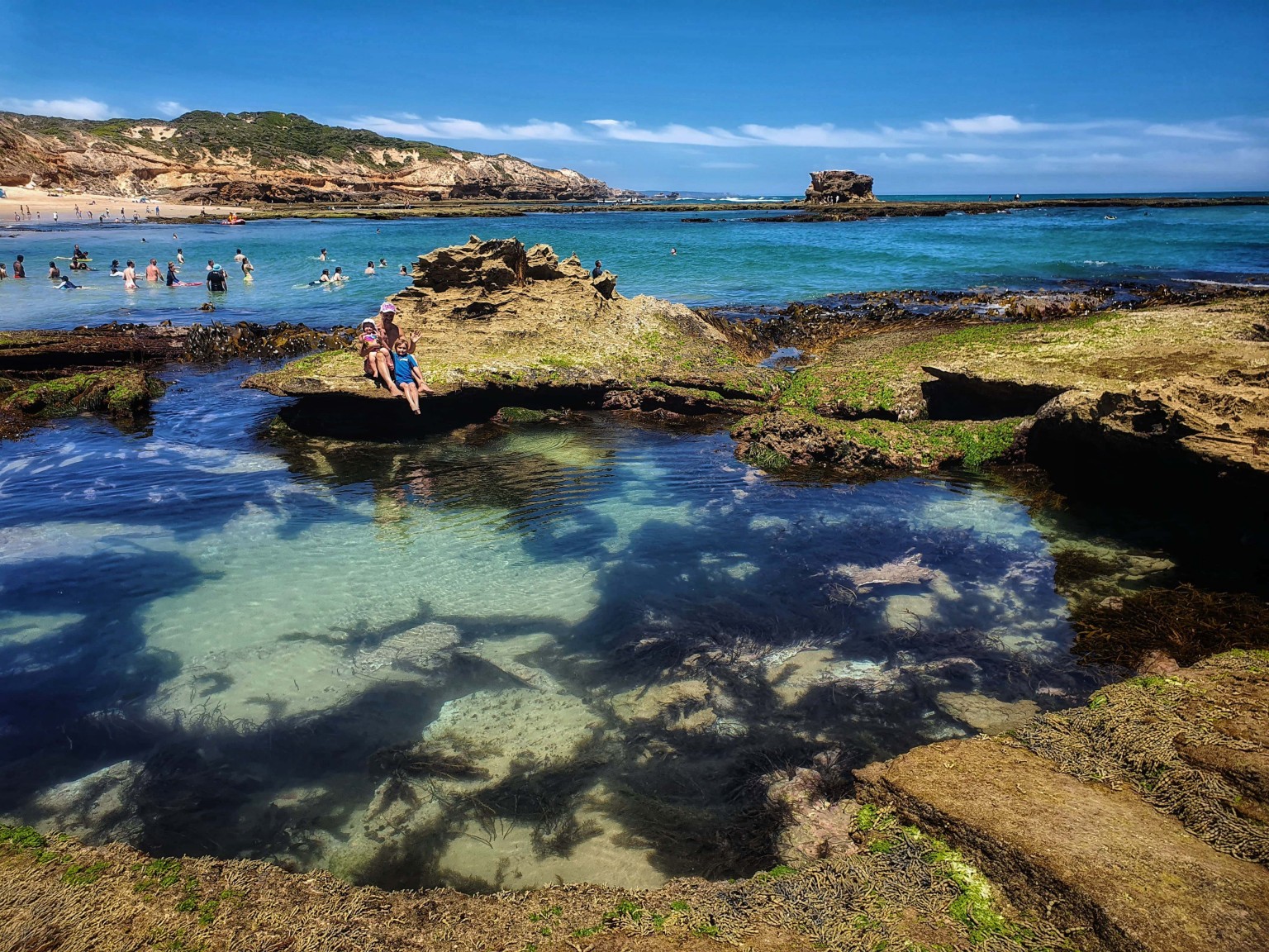 12 Amazing Rock Pools to Visit in Victoria - Eco Explorers