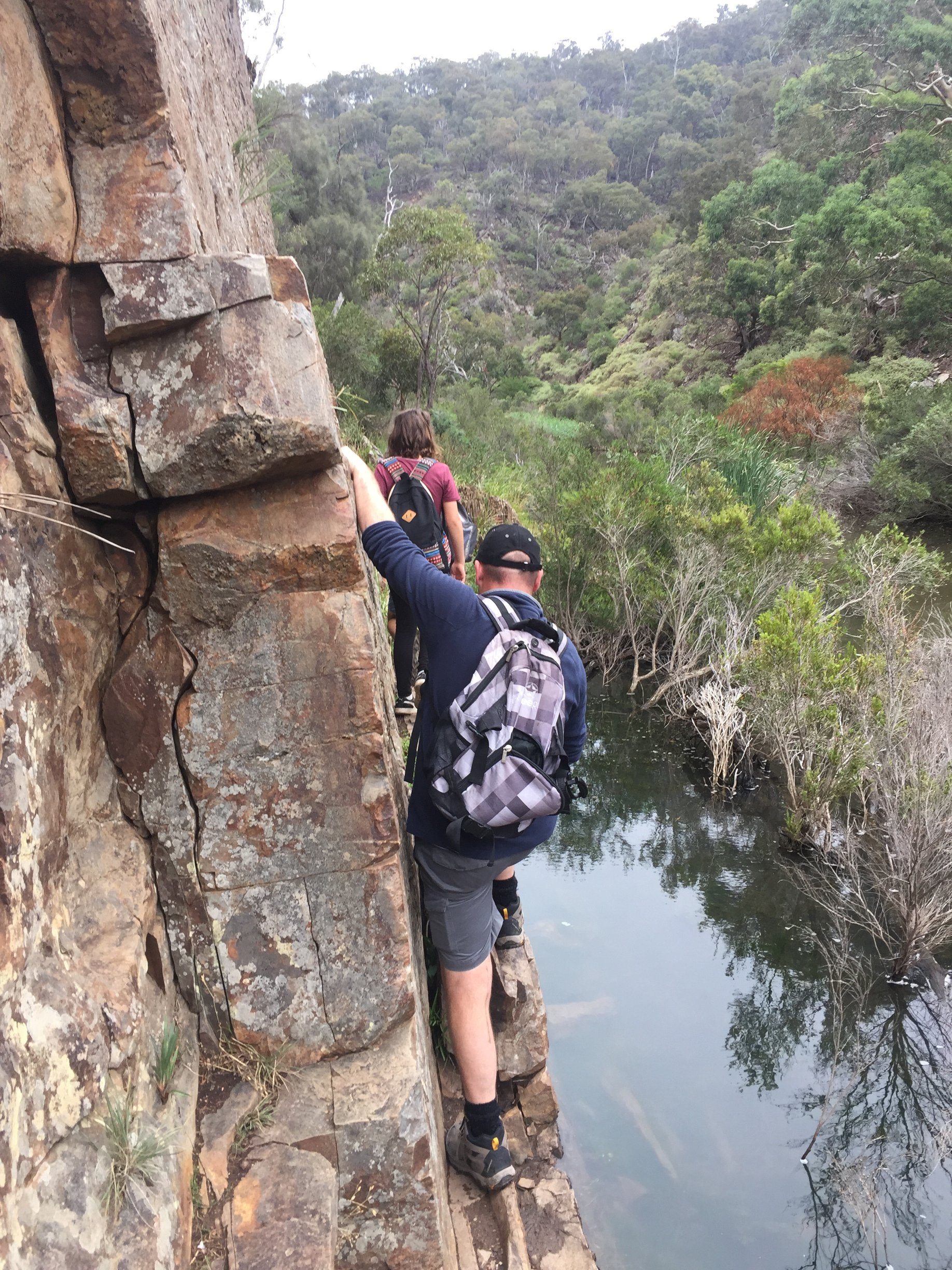 Top bush walks and nature reserves for families to visit in Melbourne’s