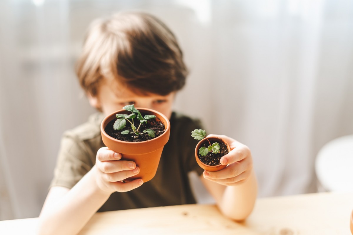 Sowing Seeds with Kids - Eco Explorers