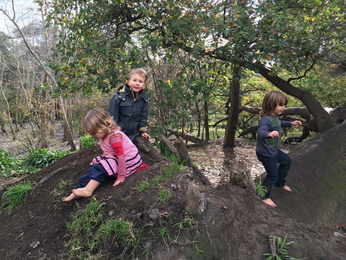 nature play templestowe