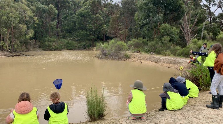 Forest school program