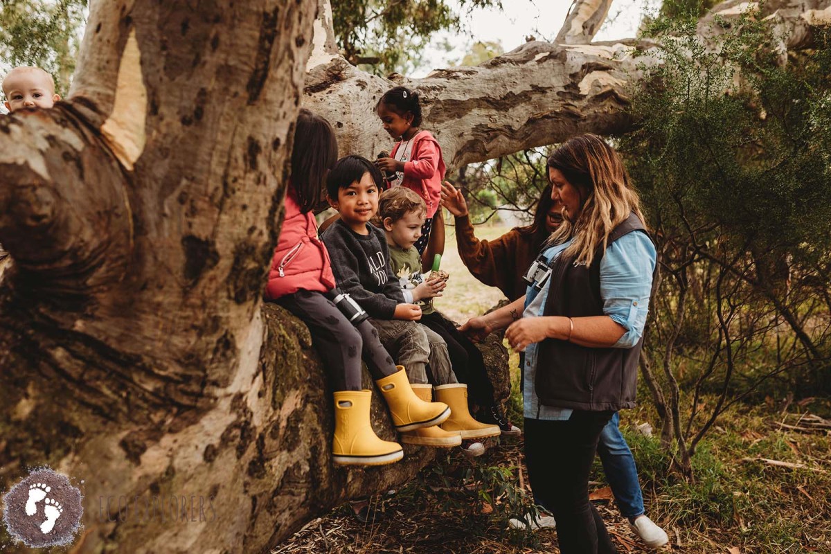 Bush Playgroup Templestowe