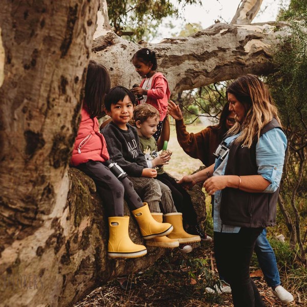 Bush Playgroup Templestowe