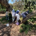 Top Inner-City Parks to Visit with Kids in Melbourne