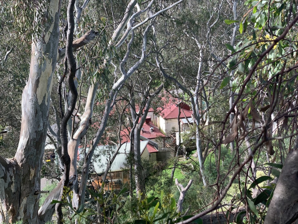 Studley Park Boathouse, Kew