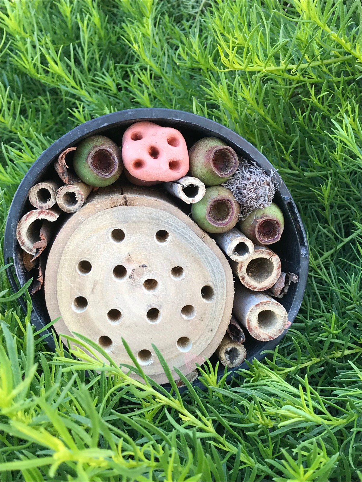 Parkville (3rd Jan) ~ Build your own Native Bee Hotel! - Image 2