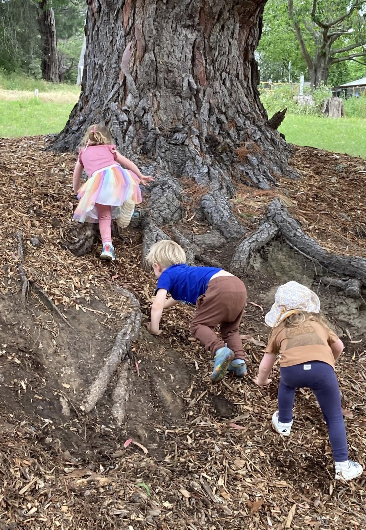 Frankston (16th April) ~ Nature Detectives Bug Hunt Adventure! - Image 2