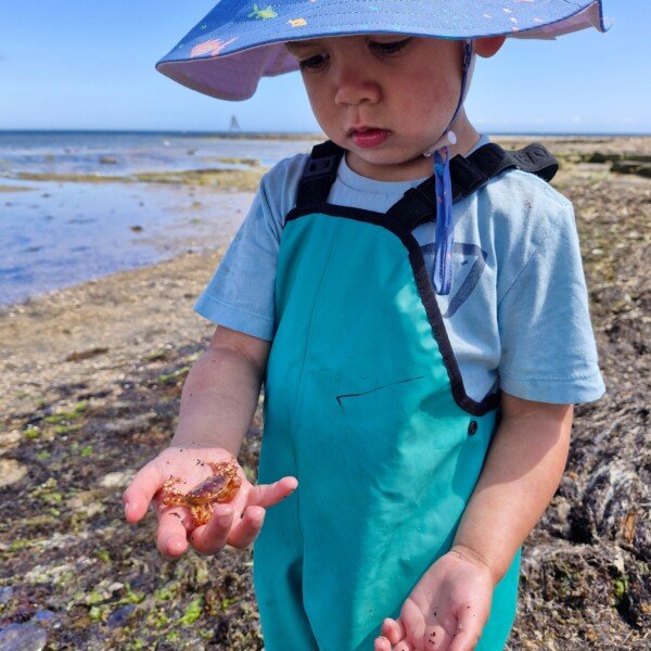 Jawbone Sanctuary, Williamstown ~ Twilight Rockpool Discovery (14/1)