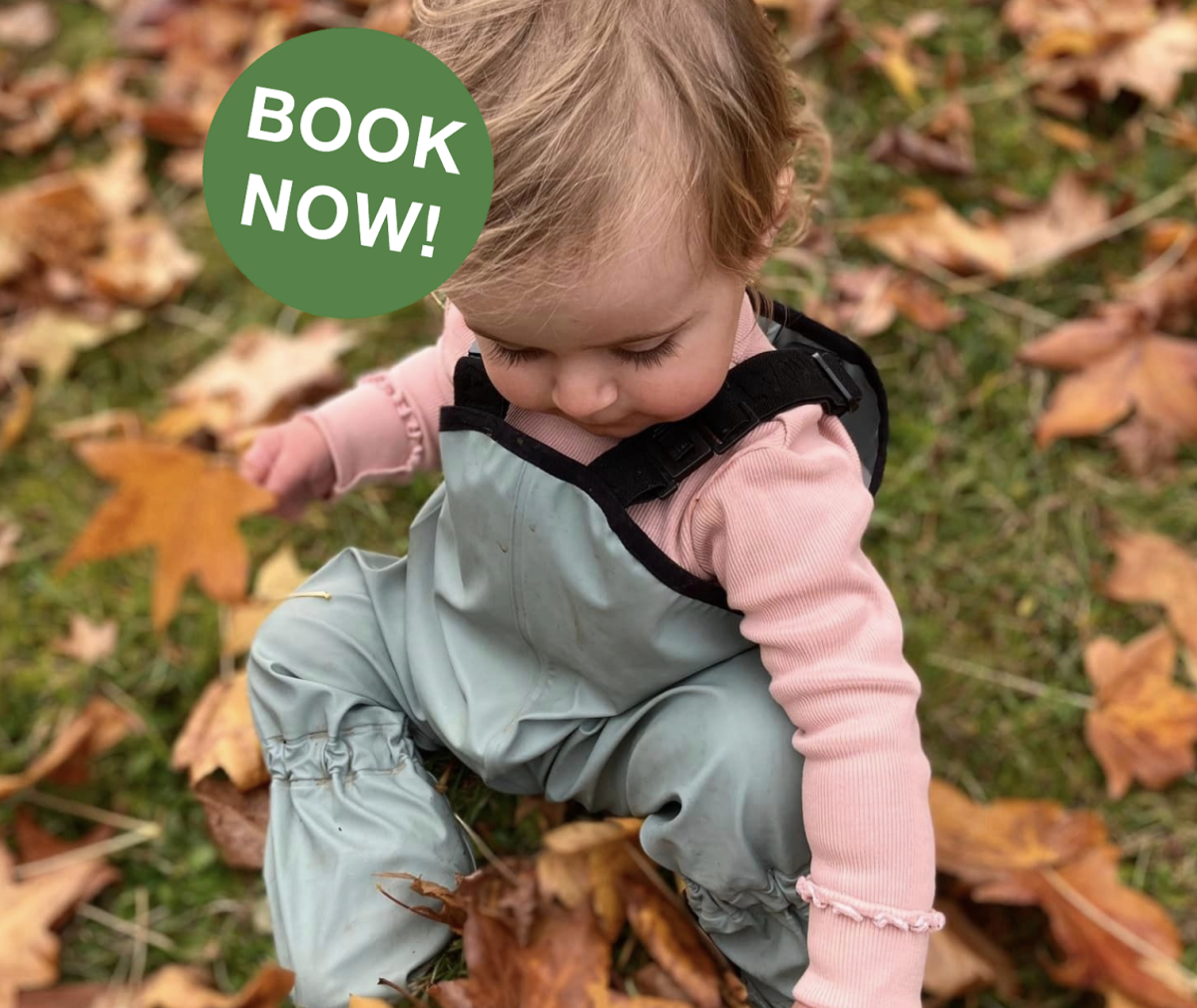 Bush Playgroup Langwarrin ~ Fridays