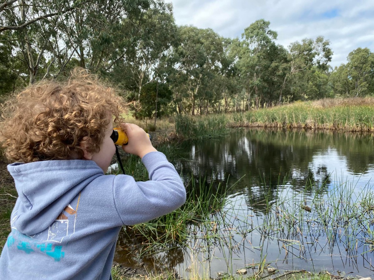 Parkville (8th April) ~ Wetlands, Water Birds & Water Bugs AM