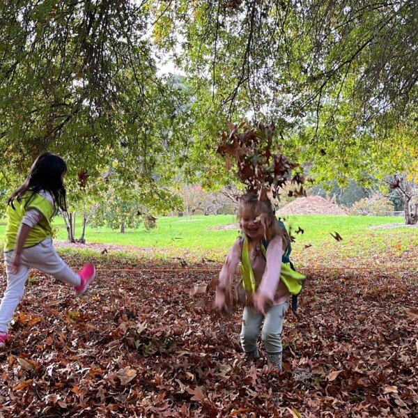 Mornington Peninsula Forest School ~ Fridays AM - CASUAL