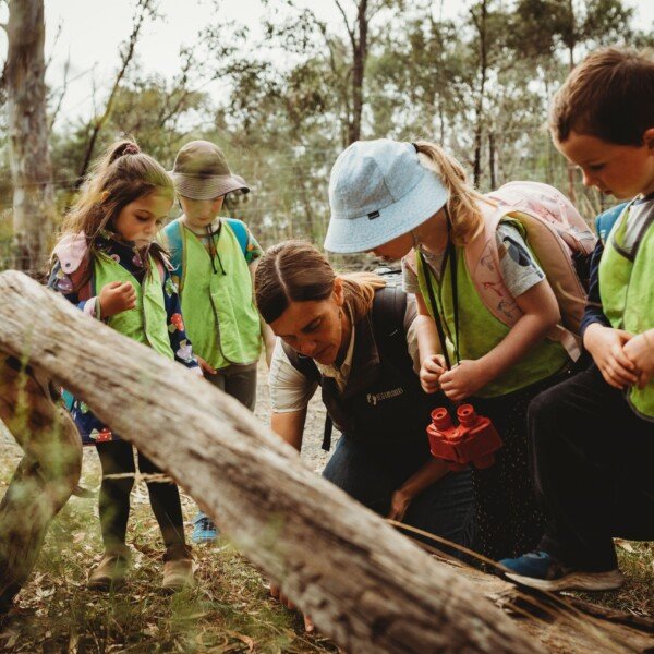 South Morang ReWild Your Child ~ Survival Challenge!