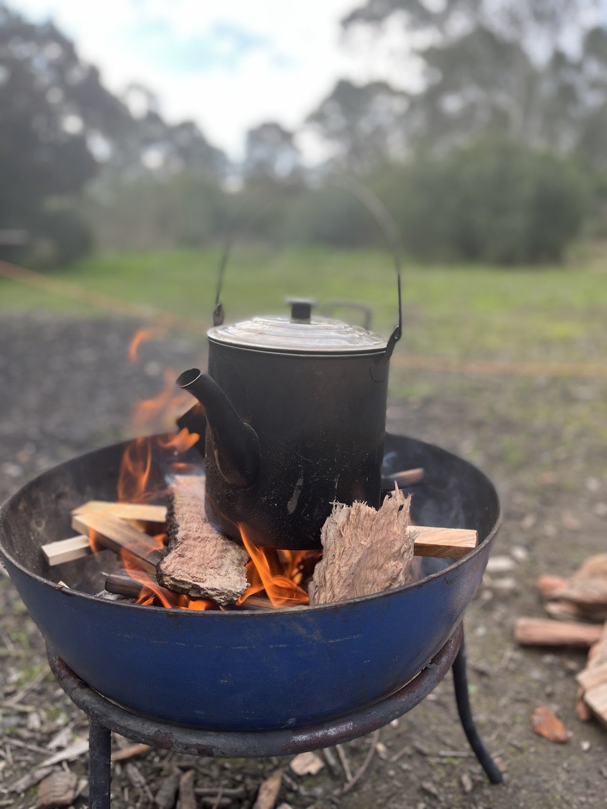 Bulleen ReWild Your Family ~ Campfire & Bush Adventures