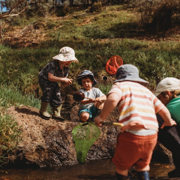 Keilor East Bush Kids Forest School ~ Tuesdays (term 4)