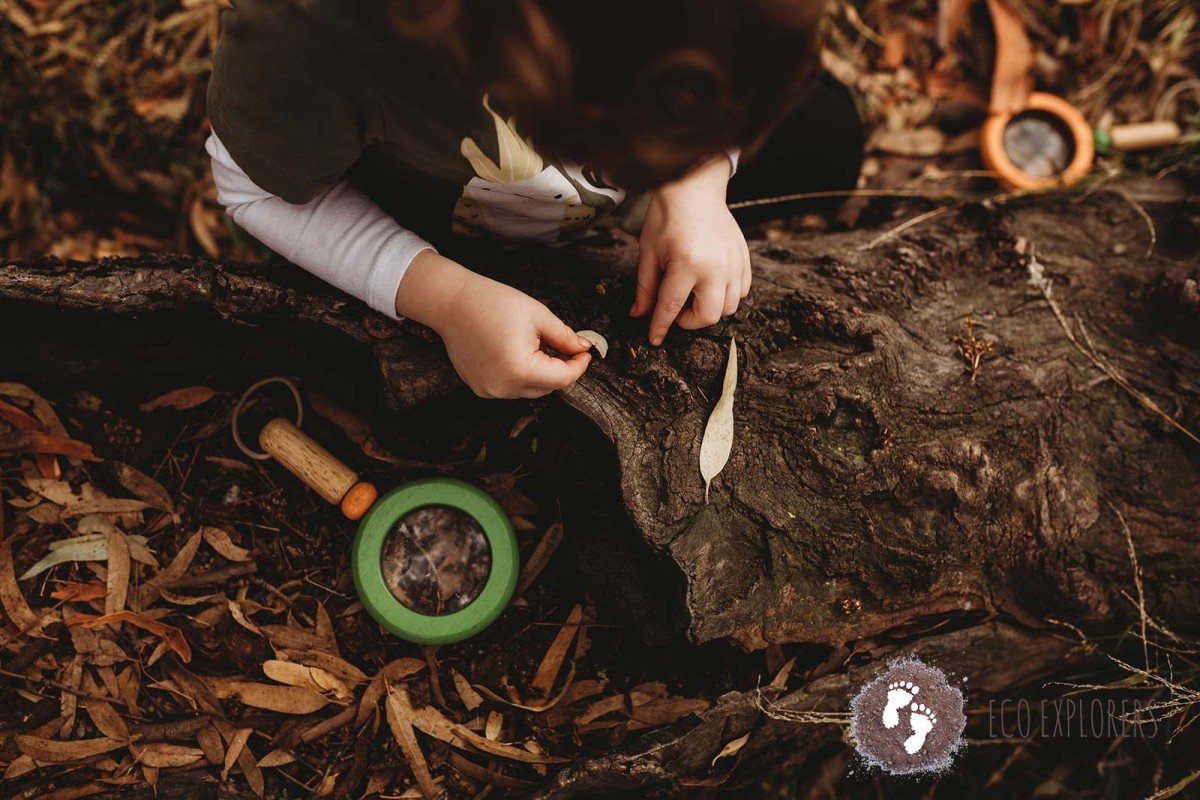 Tawny Toddlers Keilor East ~ Wednesdays