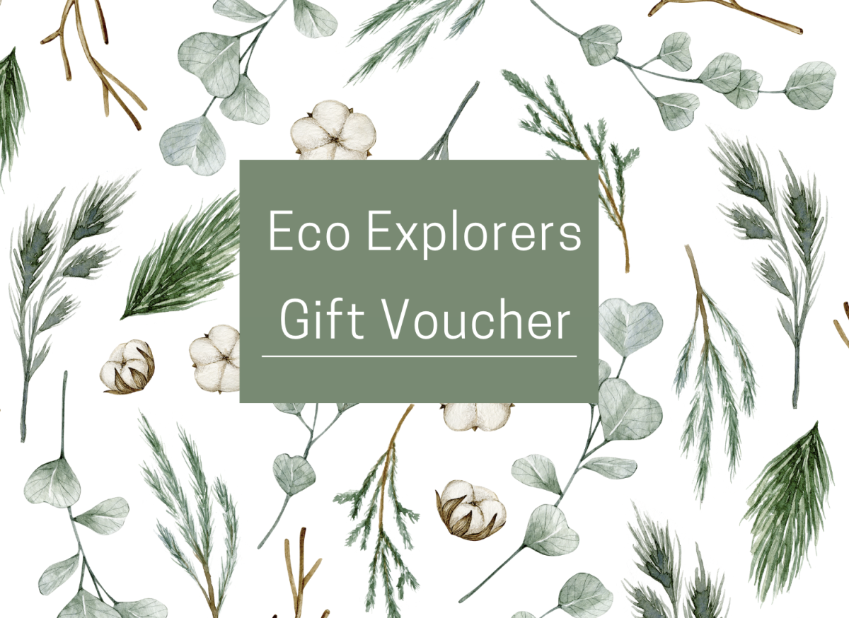 Eco Explorers GIFT VOUCHER