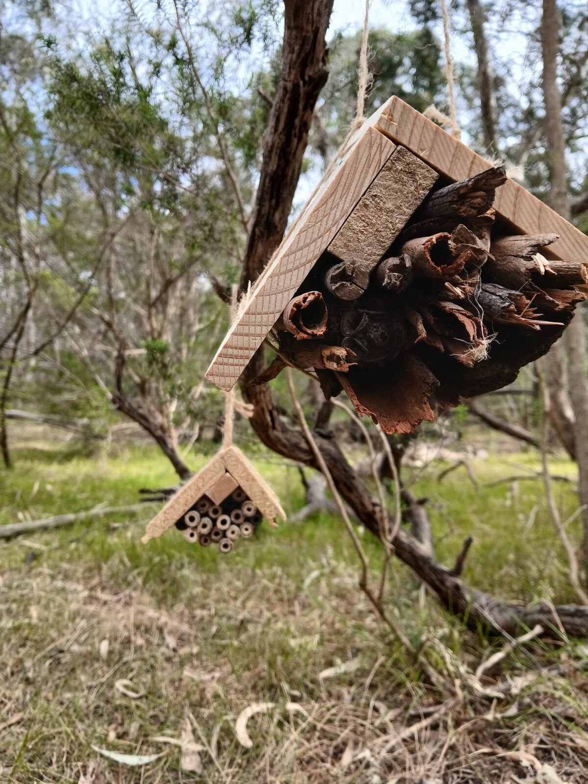 Parkville ~ Pollinators, Tools and DIY Native Bee Hotels