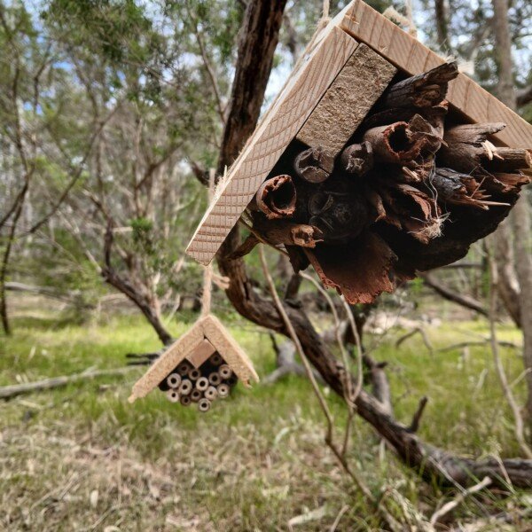 Parkville ~ Pollinators, Tools and DIY Native Bee Hotels