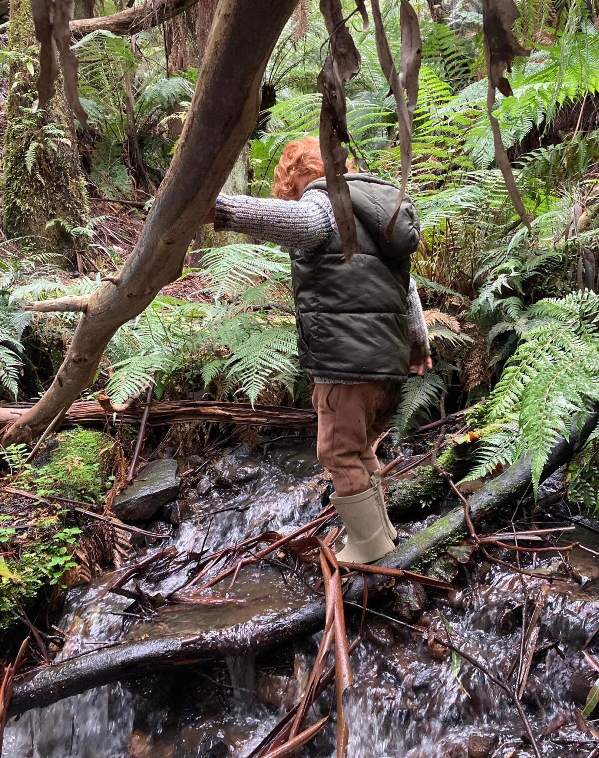 Dandenong Ranges Bush Kids Forest School ~ Fridays