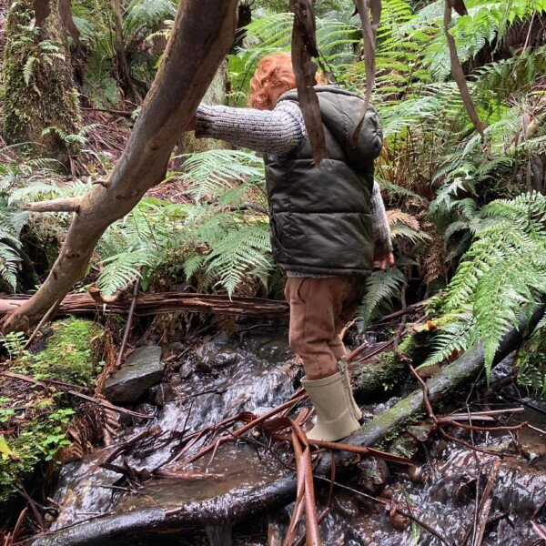 Dandenong Ranges Bush Kids Forest School ~ Fridays