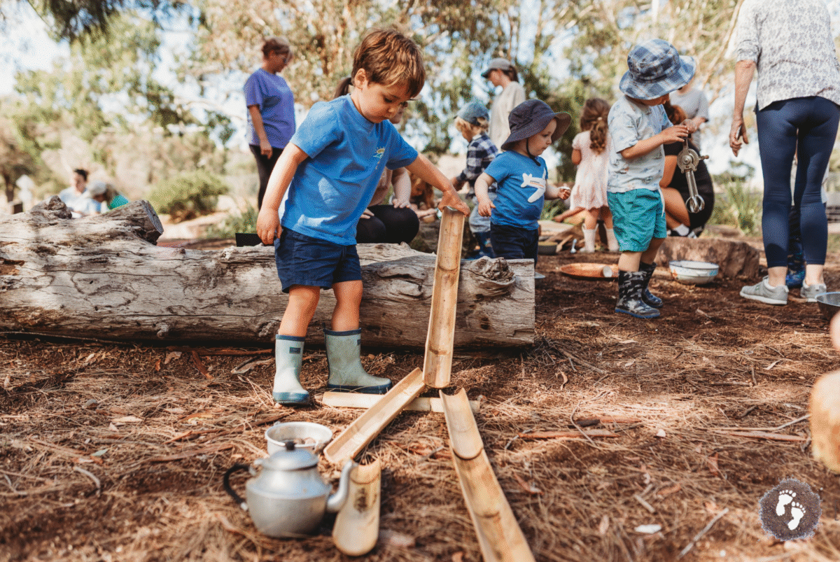 Tawny Toddlers Dandenong Ranges ~ Thursdays