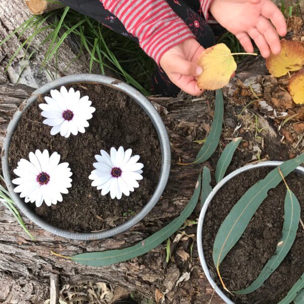 Templestowe ~ Spring Scents + Sensory Garden