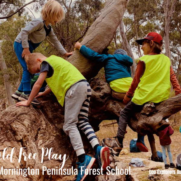 Mornington Peninsula ReWild Your Child Forest School
