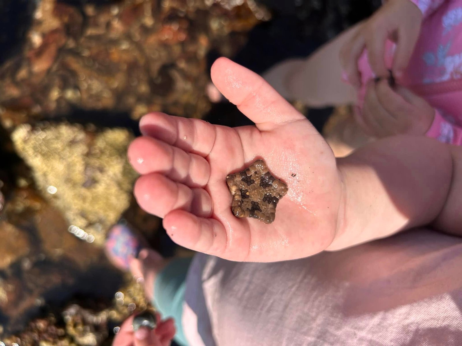 Ricketts Sanctuary Beach School ~Thursdays (Term 1 2026) - Image 4