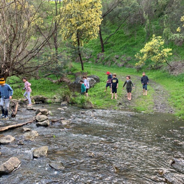 South Morang ReWild Your Child ~ Cubbies, Creeks & Bush Adventure!