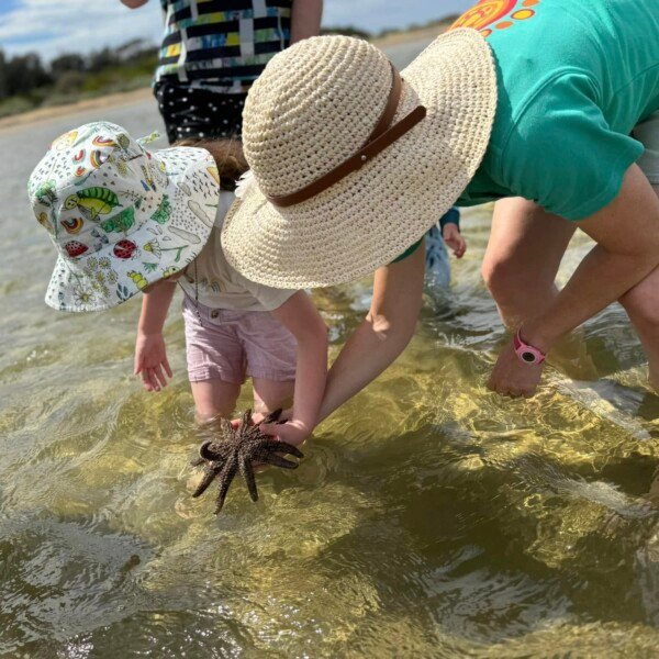 Ricketts Point Marine Sanctuary ~ Be a Marine Biologist for a Day!