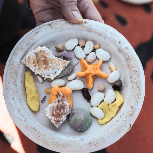 Mushroom Reef Sanctuary ~ Rockpool Habitats
