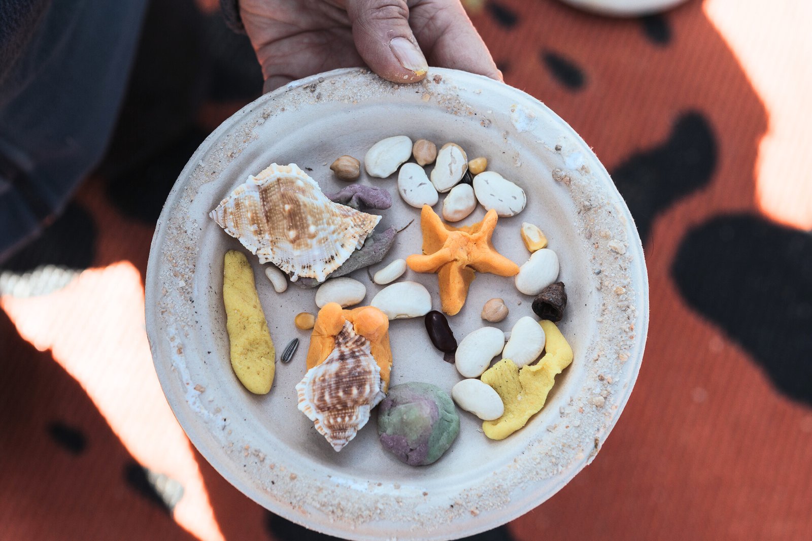 Mushroom Reef Sanctuary ~ Rockpool Habitats