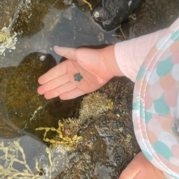 Mushroom Reef Sanctuary ~ Be a Marine Biologist for a Day!