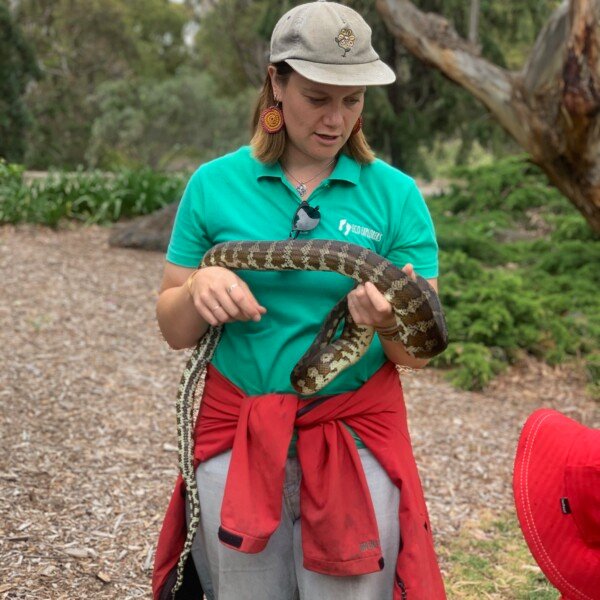Newport Bush Kids ~ Reptile Rangers
