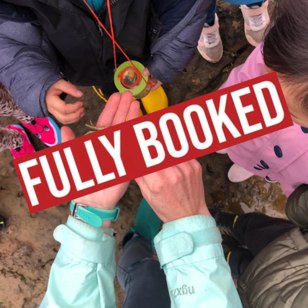 school holidays in summer