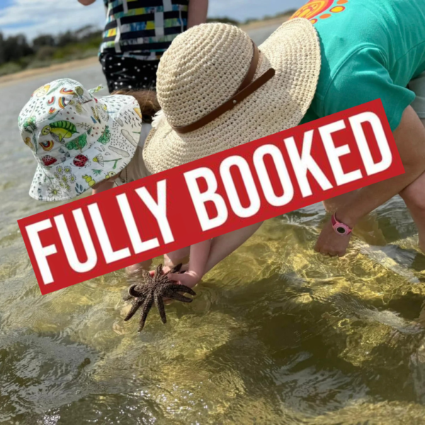 Ricketts Point Marine Sanctuary ~ Be a Marine Biologist for a Day! (6/1)