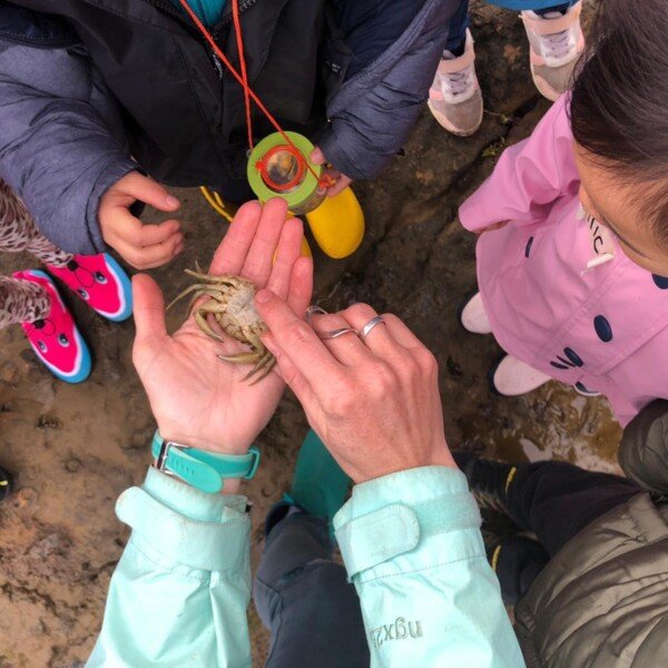 Jawbone Sanctuary, Williamstown ~ Be a Marine Biologist for a Day!