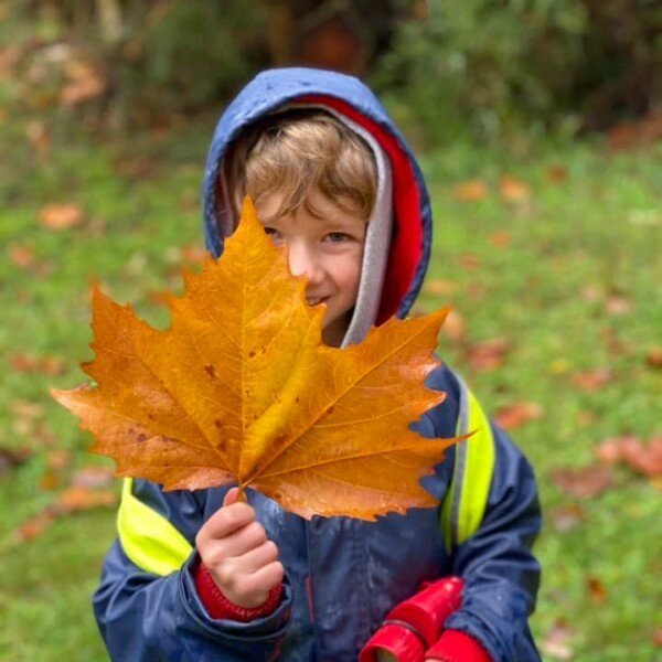 Dandenong Ranges Bush Kids Forest School ~ Fridays (Term 2)