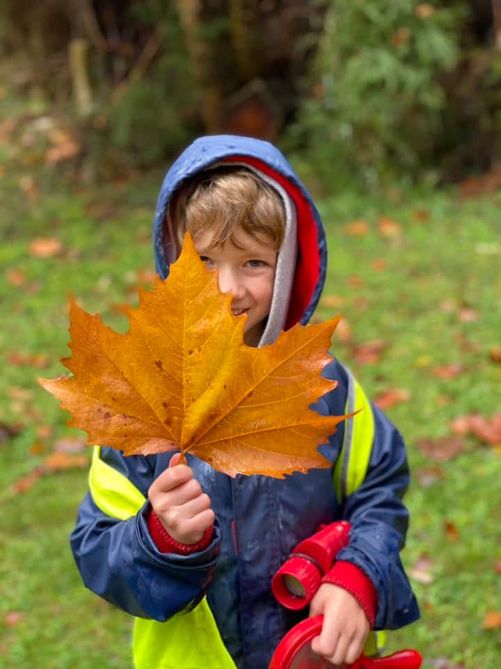 Dandenong Ranges Bush Kids Forest School ~ Fridays (Term 2)