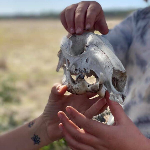Burwood ~ Fossil Hunters: Nature Detectives Adventure